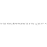 Mouse Neil3(Endonuclease 8-like 3) ELISA Kit